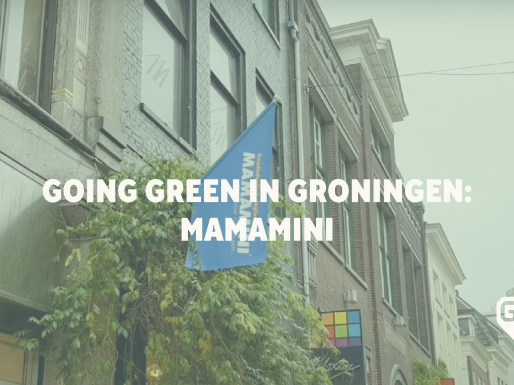 Mamamini_Tekengebied1