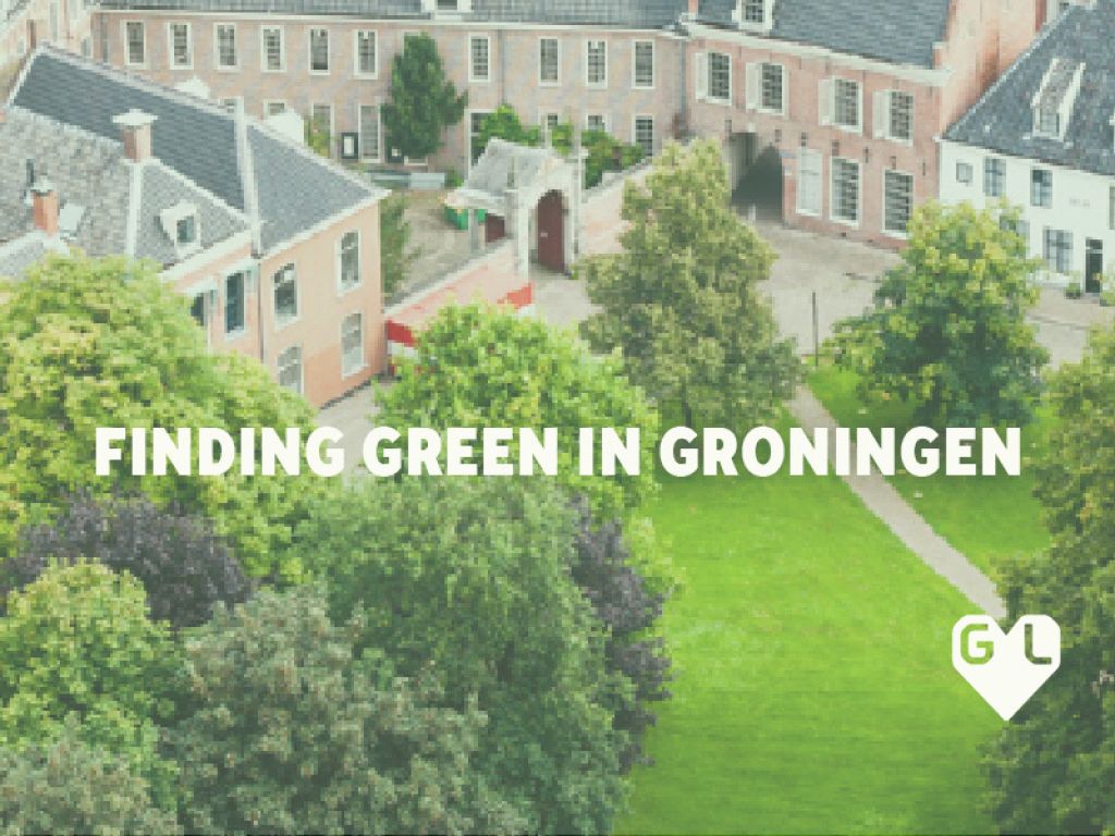 Finding green in Groningen GroningenLife