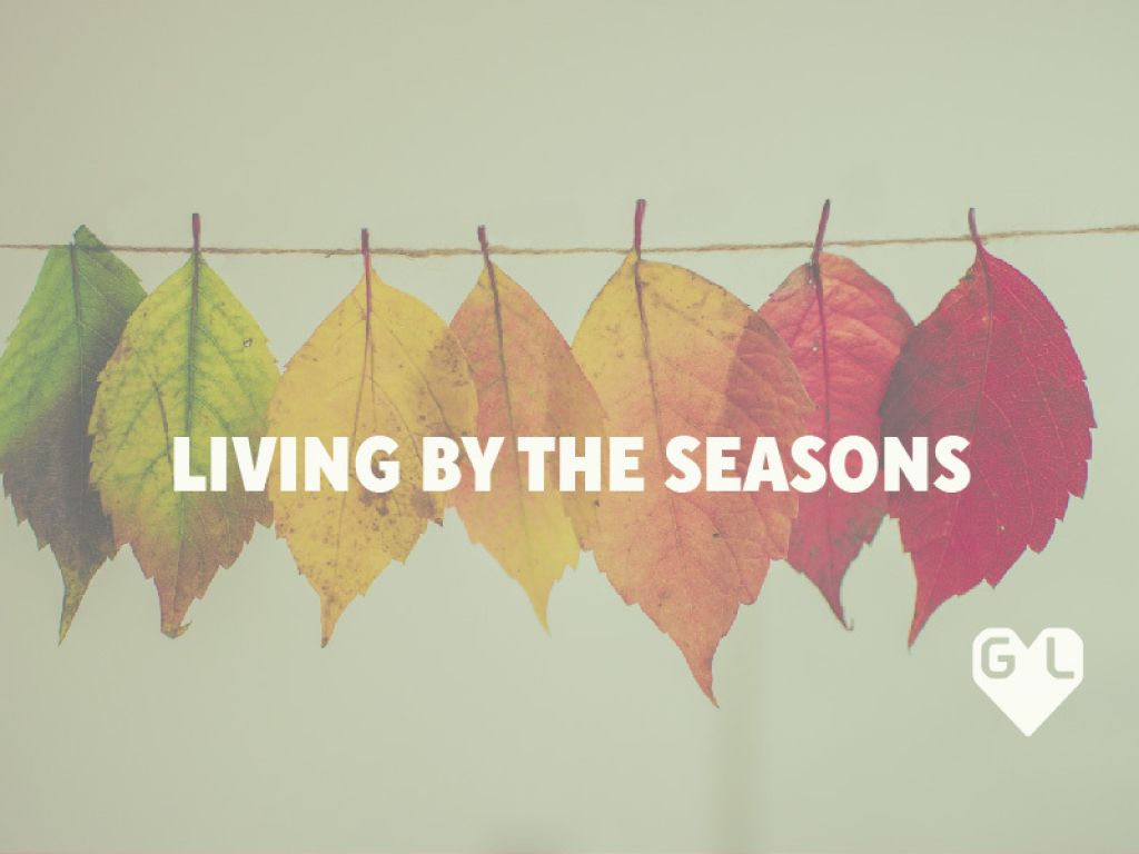 Livingbytheseasons Tekengebied1