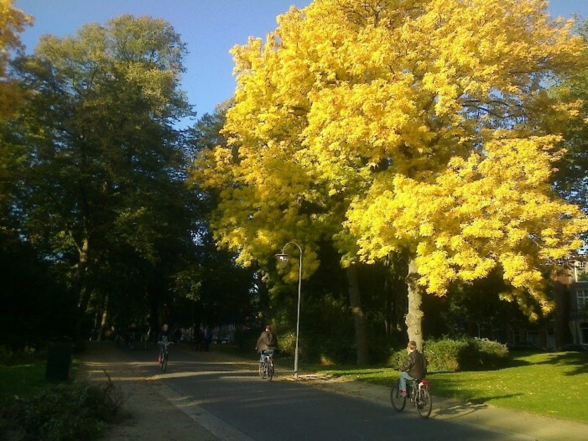 noorderplantsoen-3