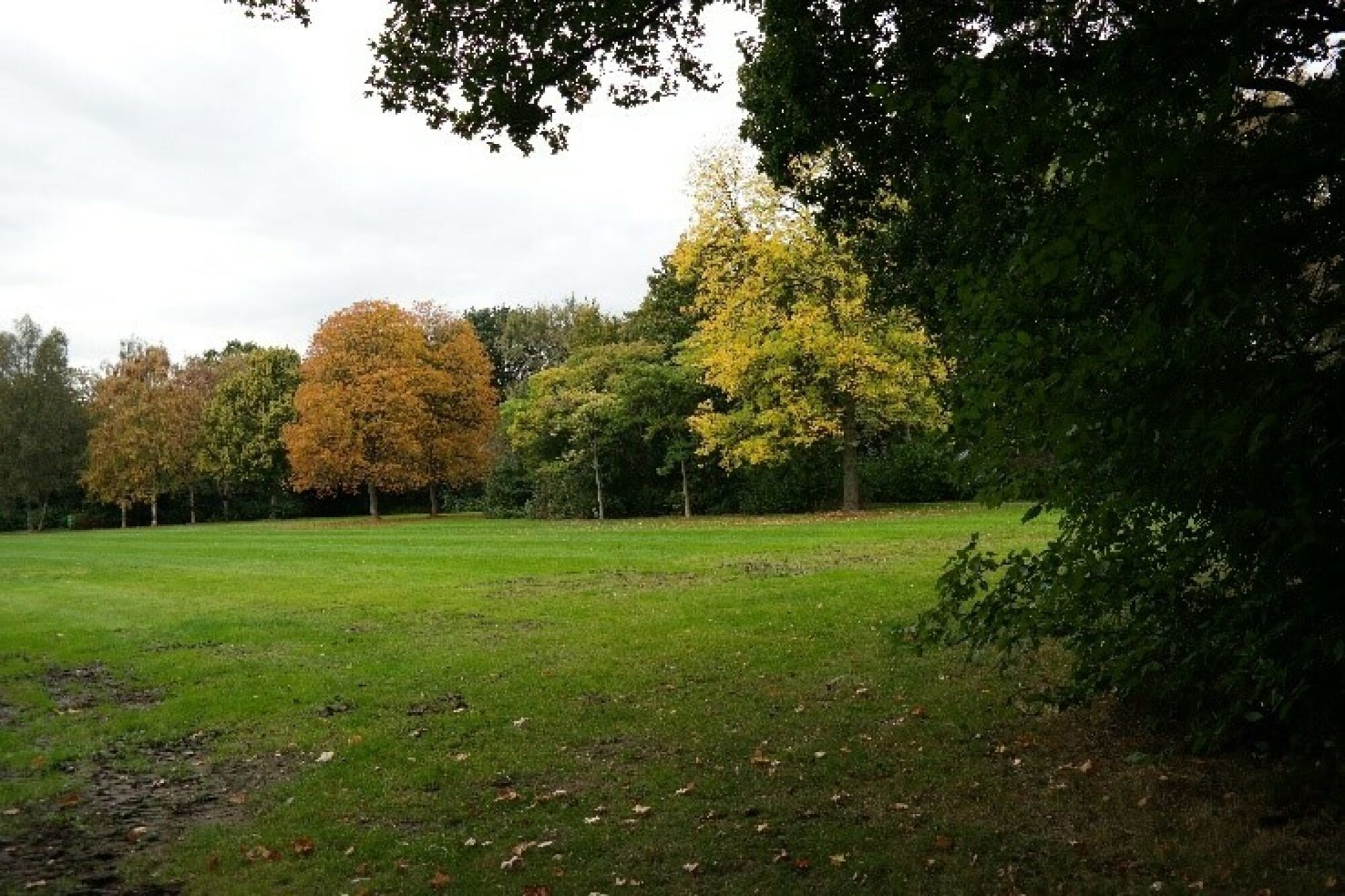 stadspark