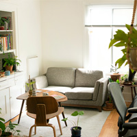 Plants